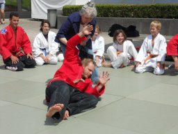 Bilder aus 2011